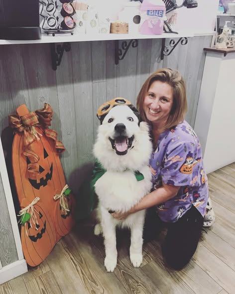 Julie Arone Death, Obituary: Indian Springs Veterinary Clinic Mourns A Loss